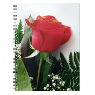Carnet Roses rouges