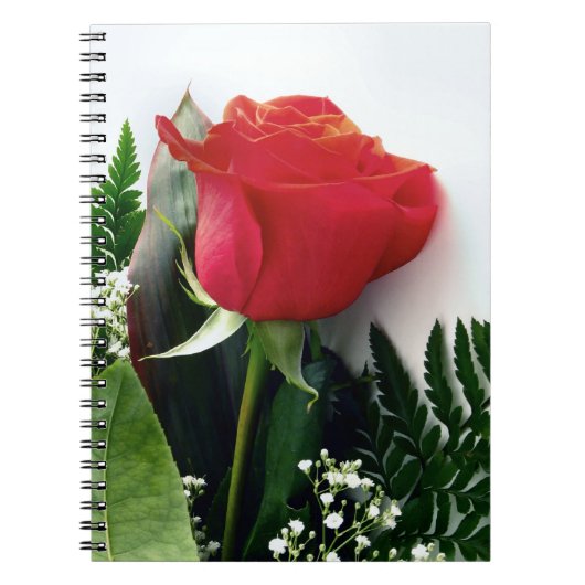 Carnet Roses rouges (Devant)