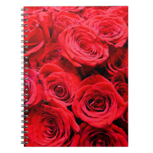 Carnet Roses rouges