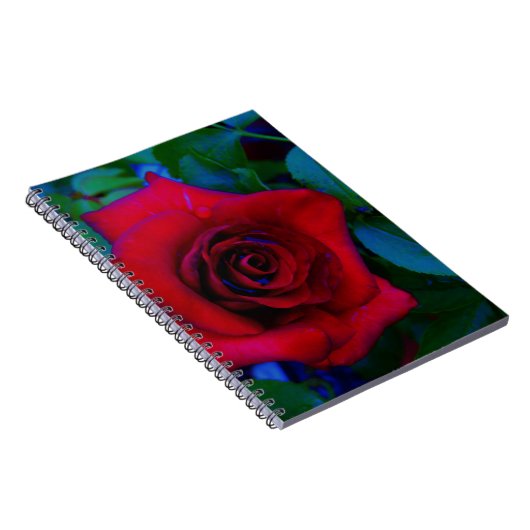 Carnet Roses rouges aux tons bleus (Côté Droit)