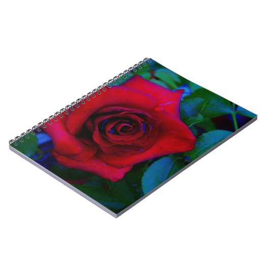 Carnet Roses rouges aux tons bleus (Côté gauche)