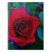 Carnet Roses rouges aux tons bleus (Devant)