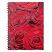 Carnet Roses rouges vibrantes (Devant)
