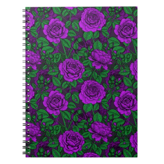 Carnet Roses violettes (Devant)