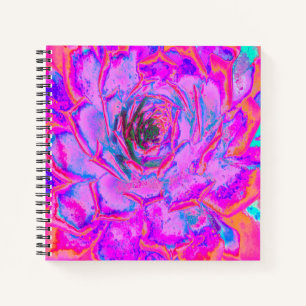 Carnet Rosette de Sedum Succulent Violet et Magenta