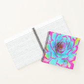 Carnet Rosette de Sedum Succulente Rose Chaud et Bleu (Intérieur)