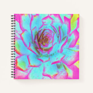 Carnet Rosette de Sedum Succulente Rose Chaud et Bleu