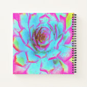 Carnet Rosette de Sedum Succulente Rose Chaud et Bleu (Dos)