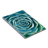 Carnet Rosette d'Echeveria, Jardin Secret de Marrakech (Côté Droit)