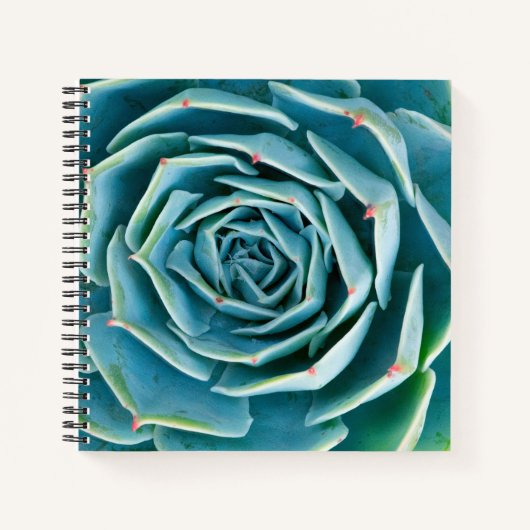 Carnet Rosette d'Echeveria, Jardin Secret de Marrakech (Devant)