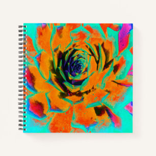 Carnet Rosette Succulente Aquamarine et Orange
