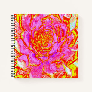 Carnet Rosette Succulente Succulente rose, rouge et jaune