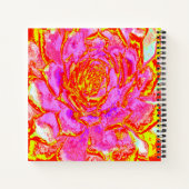 Carnet Rosette Succulente Succulente rose, rouge et jaune (Dos)