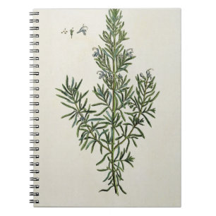 Carnet Rosmarinus Officinalis, "d'un de fines herbes