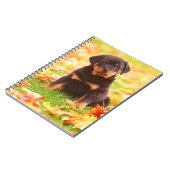 Carnet Rottweiler Chiot Assis Dans Les Feuilles D'Automne (Côté gauche)