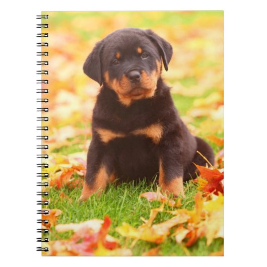 Carnet Rottweiler Chiot Assis Dans Les Feuilles D'Automne (Devant)