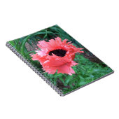 Carnet "Rouffes roses" POPPY — (Côté Droit)