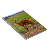 Carnet rouge australien de kangourou (Côté Droit)