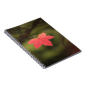 Carnet Rouge automne Maple Leaf Nature Photo (Côté Droit)
