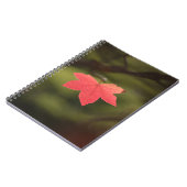 Carnet Rouge automne Maple Leaf Nature Photo (Côté gauche)