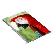 Carnet Rouge brillant (Côté Droit)