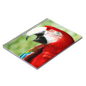 Carnet Rouge brillant (Côté gauche)