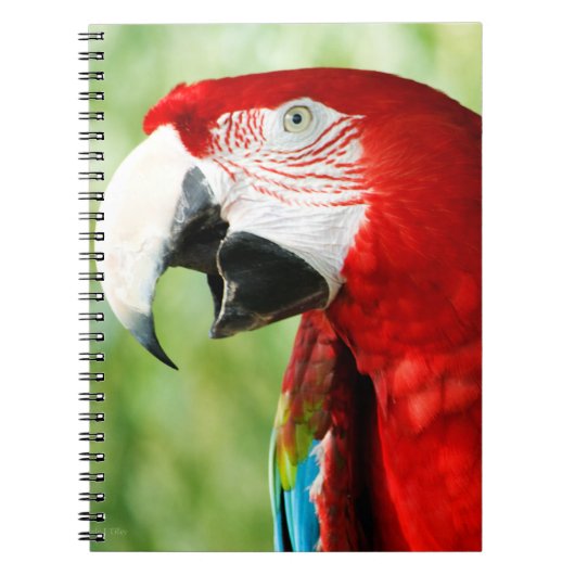 Carnet Rouge brillant (Devant)