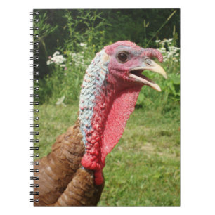Carnet rouge de Bourbon Turquie