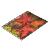 Carnet rouge de feuille d'automne (Côté gauche)