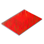 Carnet rouge marbré (Côté gauche)