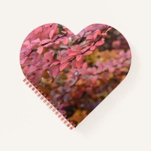 Carnet Rouge Orange Chute Feuillage Automne Feuilles Natu