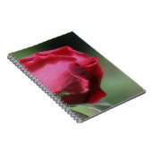 Carnet Rouge Rosebud Flower Nature (Côté Droit)