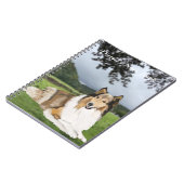 Carnet Rough Collie (Côté gauche)