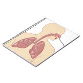 Carnet Route du Bronchoscope (Côté gauche)