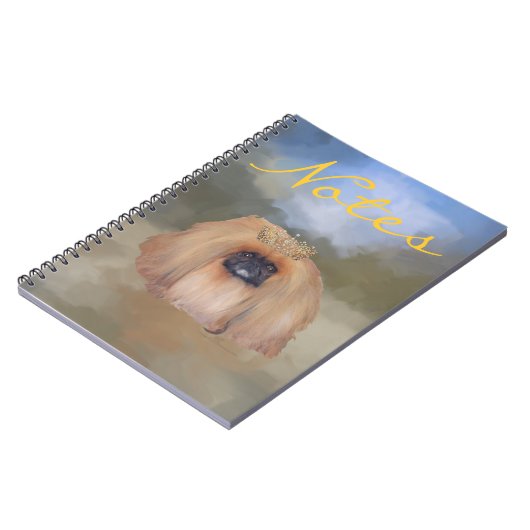 Carnet Royal de Pékin (Côté gauche)