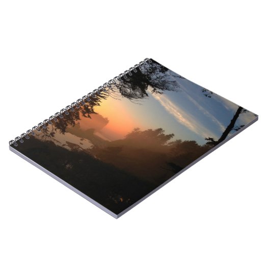 Carnet Ruby Beach À Travers Les Arbres (Côté gauche)