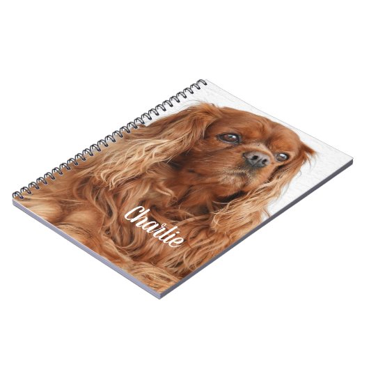 Carnet Ruby Cavalier King Charles Spaniel (Côté gauche)