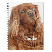 Carnet Ruby Cavalier King Charles Spaniel (Devant)