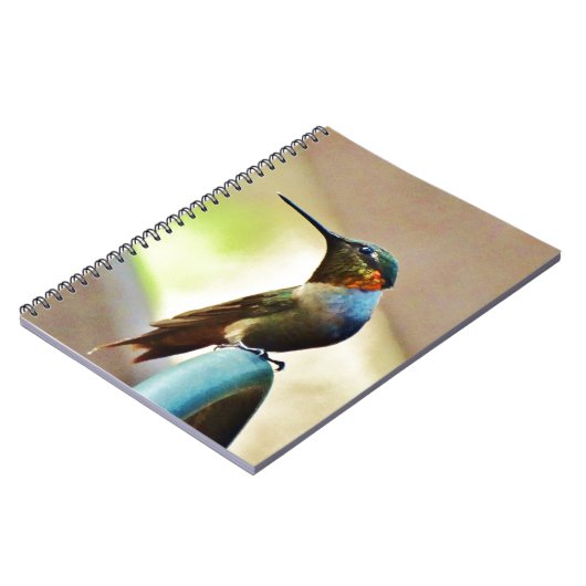 Carnet Ruby perché et petit colibri vert (Côté gauche)