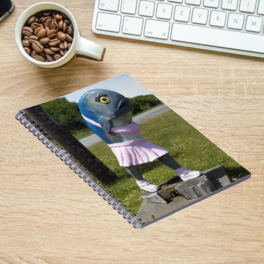 Carnet Rue Attraction Fish Girl Statue