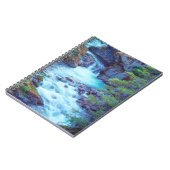 Carnet Ruisseau Hamma Hamma (Côté gauche)
