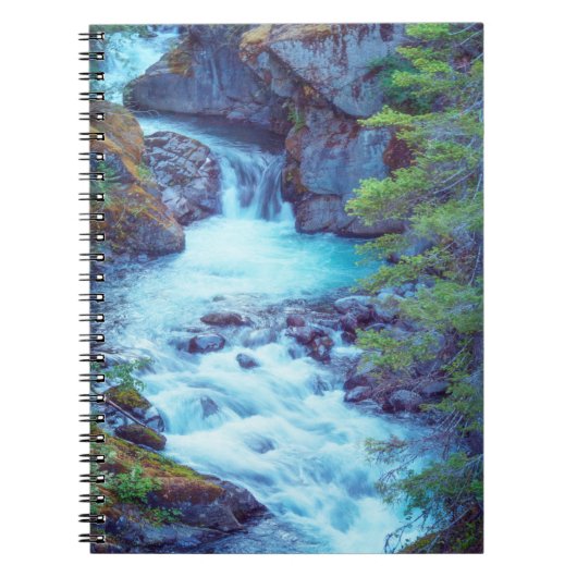 Carnet Ruisseau Hamma Hamma (Devant)