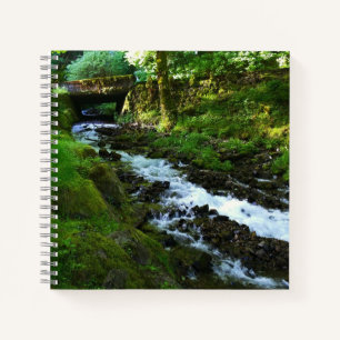 Carnet Ruissellement de Wahkeena Falls, OR