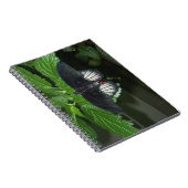 Carnet Rumanzovia Swallowtail - Homme (Côté Droit)