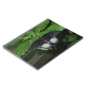 Carnet Rumanzovia Swallowtail - Homme (Côté gauche)