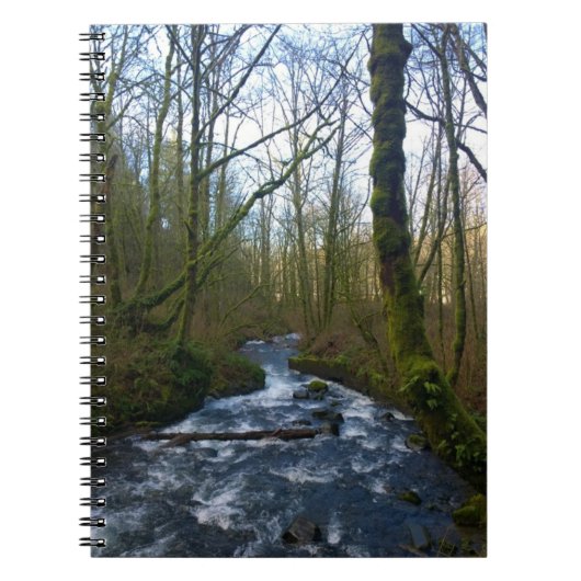 Carnet Runoff from Bridal Veil Falls (Devant)