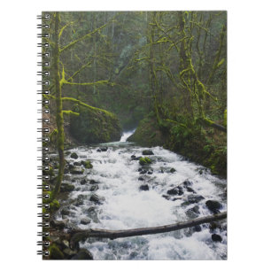 Carnet Runoff from Bridal Veil Falls