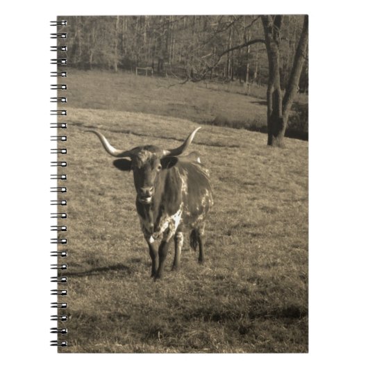 Carnet Rustic Texas Longhorn élevage de taureau vache (Devant)
