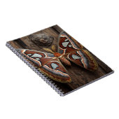 Carnet rustique Atlas Moth (Côté Droit)