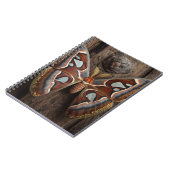 Carnet rustique Atlas Moth (Côté gauche)